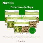 Brochures de soja