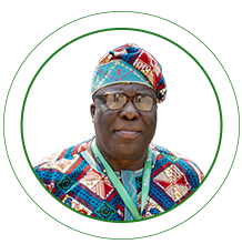 Nicholas Eguzozie Ngozi