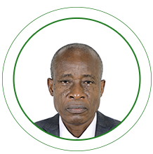 Solomon Ogunade